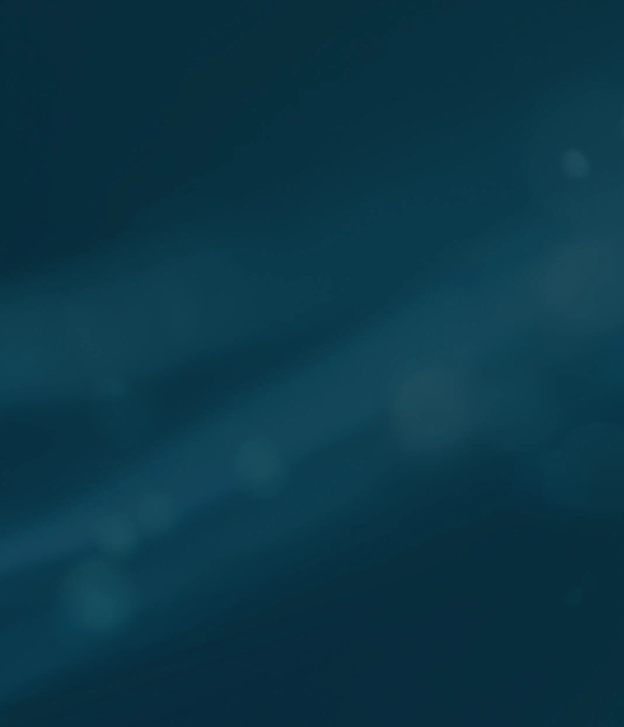 Ongoing support post-launch